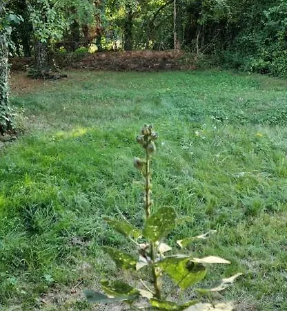 Escapade Domaine De La Grande Decision *