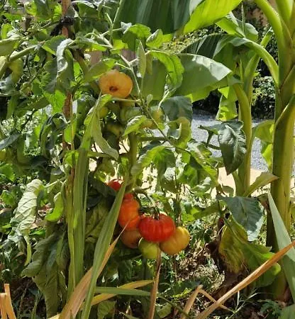 Escapade Domaine De La Grande Decision La Douze