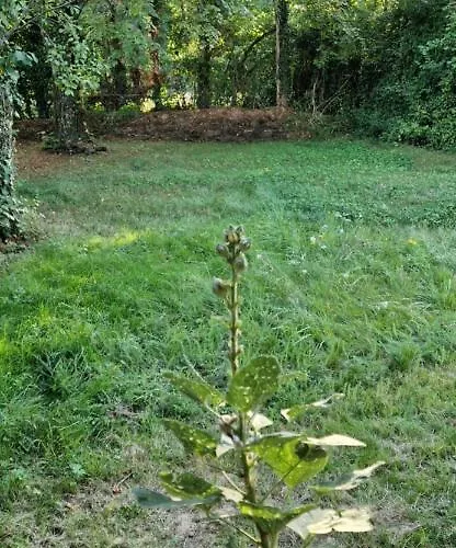 Escapade Domaine De La Grande Decision *