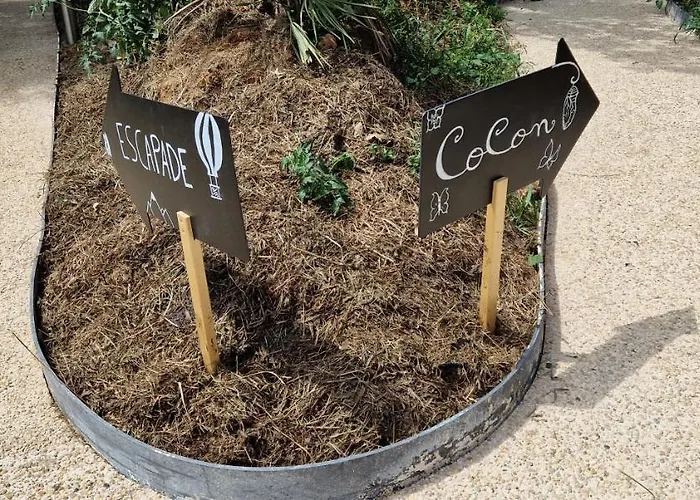 Escapade Domaine De La Grande Decision La Douze