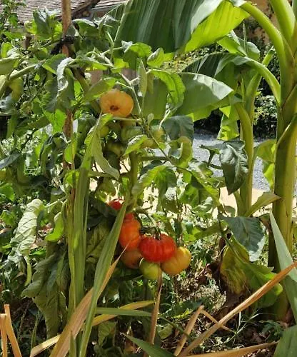 Escapade Domaine De La Grande Decision La Douze